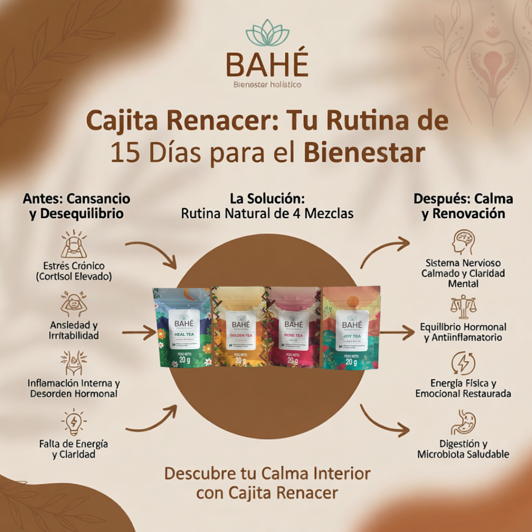 protocolo renacer  15 días | reset de estrés , inflamación, ansiedad (envio gratis)